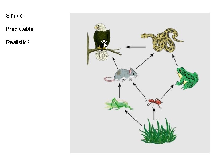 Simple Predictable Realistic? Simple Predictable Realistic?