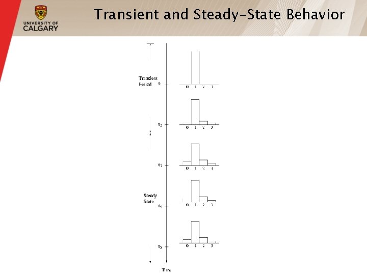 Transient and Steady-State Behavior 