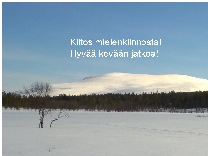 Kiitos mielenkiinnosta! Hyvää kevään jatkoa! 