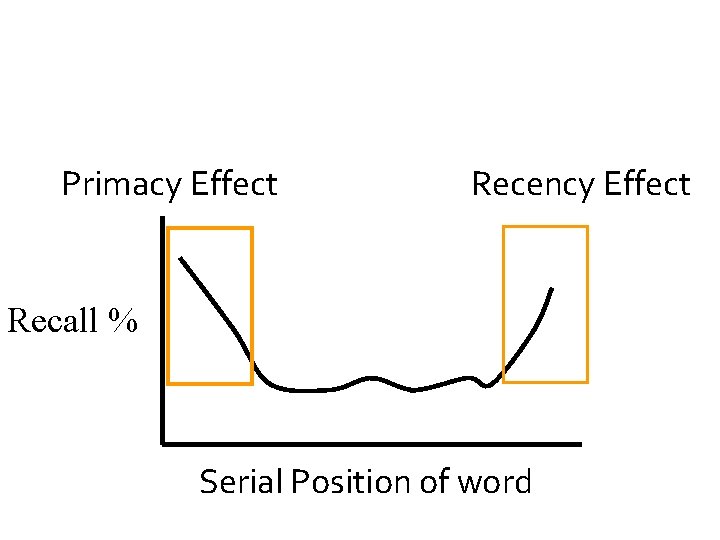 Primacy Effect Recency Effect Recall % Serial Position of word 