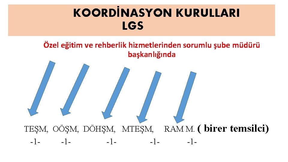 KOORDİNASYON KURULLARI LGS Özel eğitim ve rehberlik hizmetlerinden sorumlu şube müdürü başkanlığında TEŞM, OÖŞM,