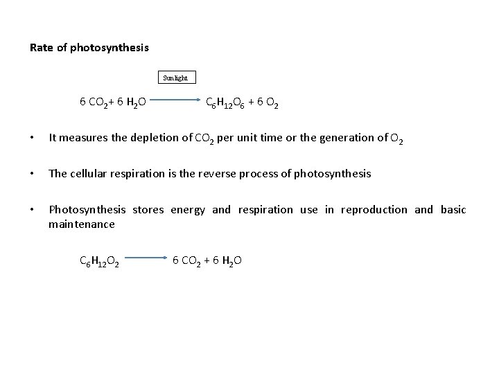 Rate of photosynthesis Sunlight 6 CO 2+ 6 H 2 O C 6 H