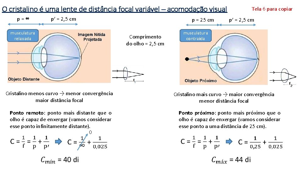 O cristalino é uma lente de distância focal variável – acomodação visual p=∞ p’