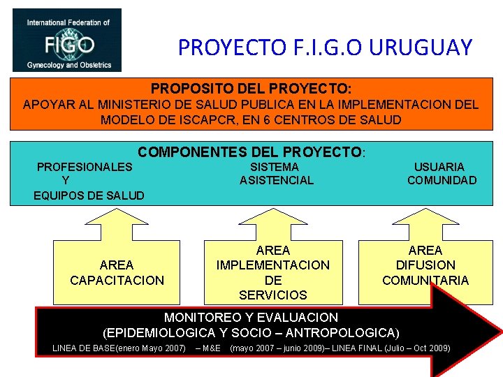 PROYECTO F. I. G. O URUGUAY PROPOSITO DEL PROYECTO: APOYAR AL MINISTERIO DE SALUD
