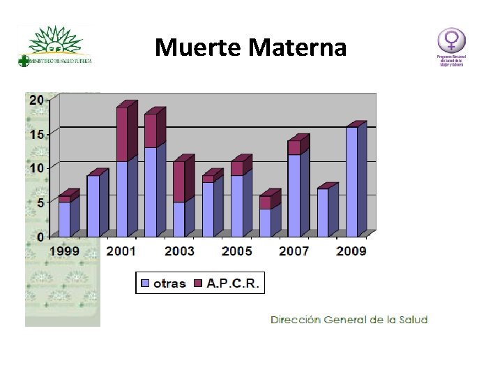 Muerte Materna 