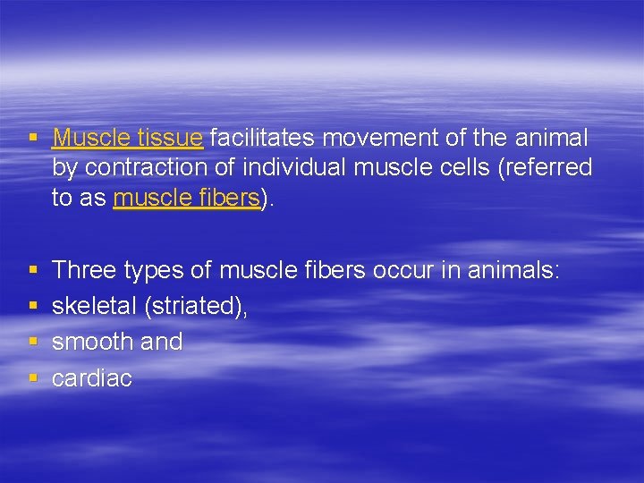 § Muscle tissue facilitates movement of the animal by contraction of individual muscle cells