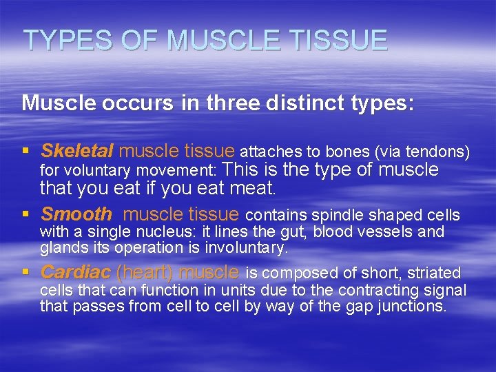 TYPES OF MUSCLE TISSUE Muscle occurs in three distinct types: § Skeletal muscle tissue