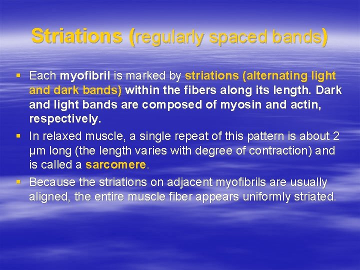 Striations (regularly spaced bands) § Each myofibril is marked by striations (alternating light and