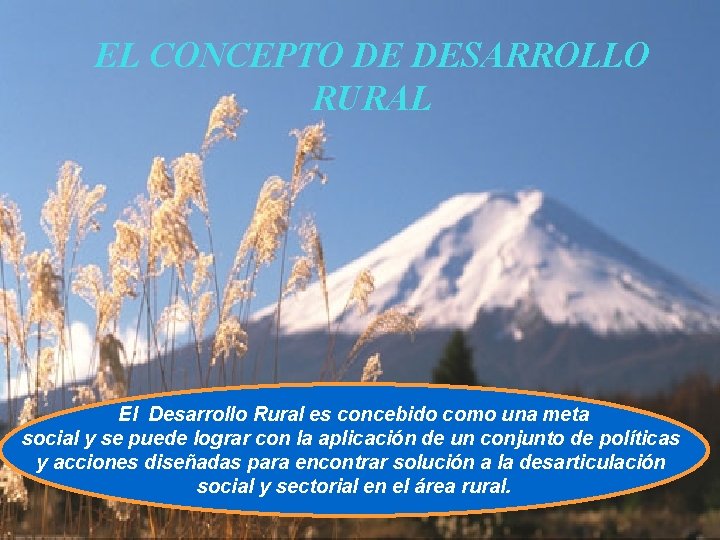 EL CONCEPTO DE DESARROLLO RURAL El Desarrollo Rural es concebido como una meta social