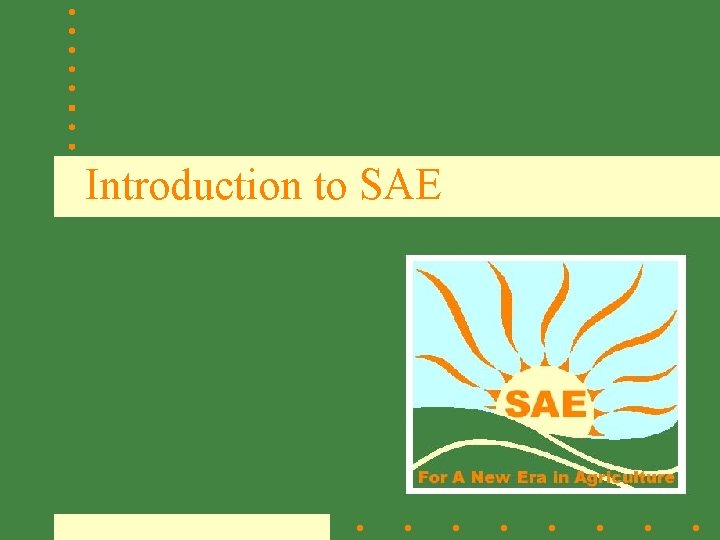 Introduction to SAE 