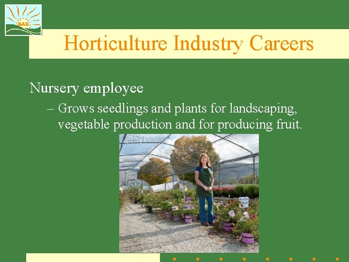 Horticulture Industry Careers Nursery employee – Grows seedlings and plants for landscaping, vegetable production