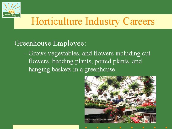 Horticulture Industry Careers Greenhouse Employee: – Grows vegestables, and flowers including cut flowers, bedding