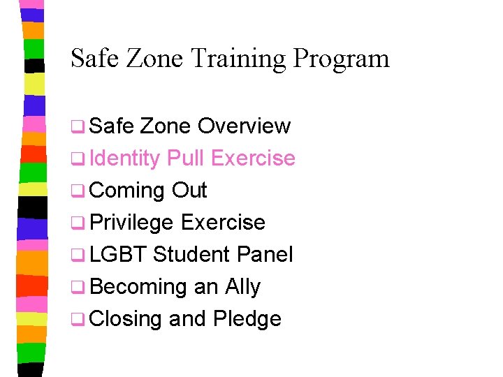 Safe Zone Training Program q Safe Zone Overview q Identity Pull Exercise q Coming