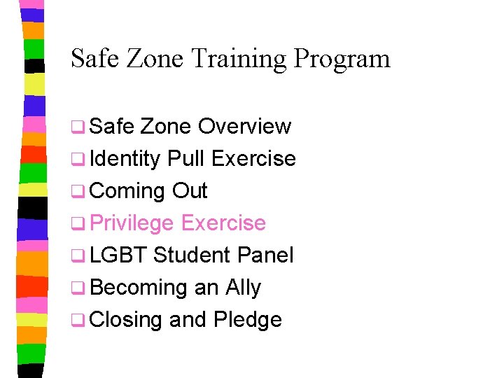 Safe Zone Training Program q Safe Zone Overview q Identity Pull Exercise q Coming