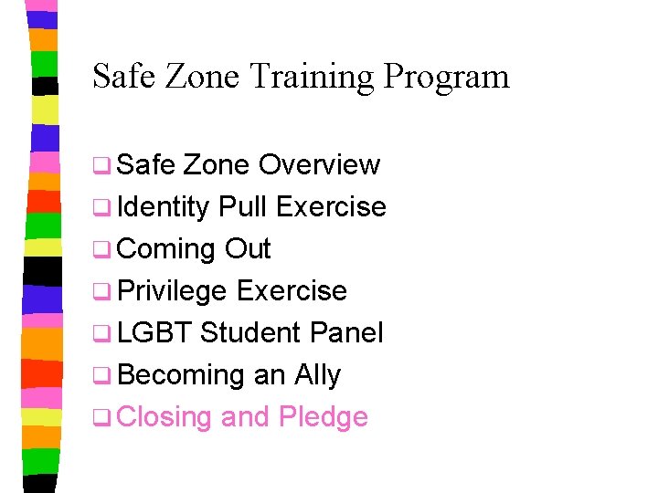Safe Zone Training Program q Safe Zone Overview q Identity Pull Exercise q Coming