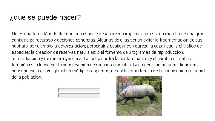 ¿que se puede hacer? No es una tarea fácil. Evitar que una especie desaparezca