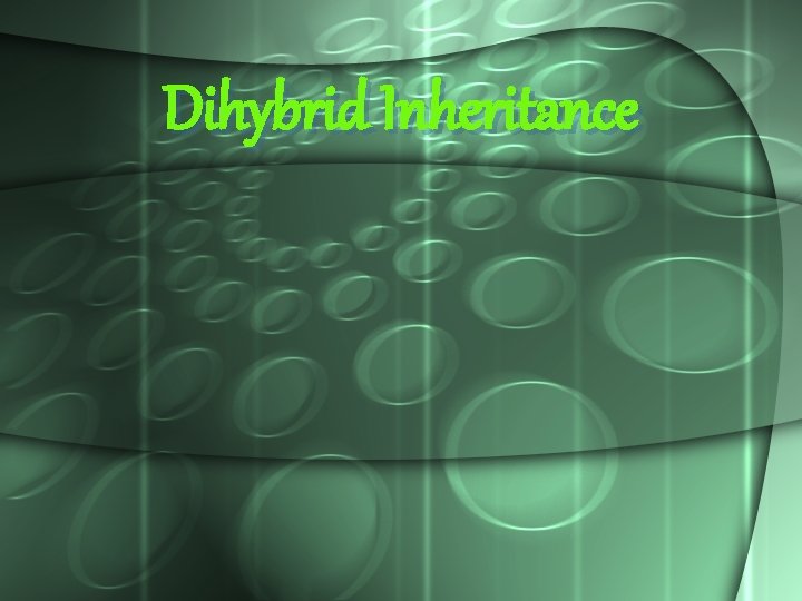 Dihybrid Inheritance 
