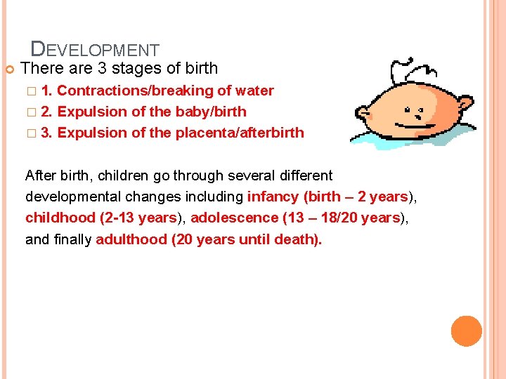 DEVELOPMENT There are 3 stages of birth � 1. Contractions/breaking of water � 2.