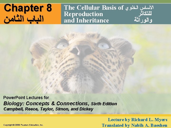 Chapter 8 ﺍﻟﺒﺎﺏ ﺍﻟﺜﺎﻣﻦ The Cellular Basis of ﺍﻷﺴﺎﺱ ﺍﻟﺨﻠﻮﻱ Reproduction ﻟﻠﺘﻜﺎﺛﺮ and Inheritance