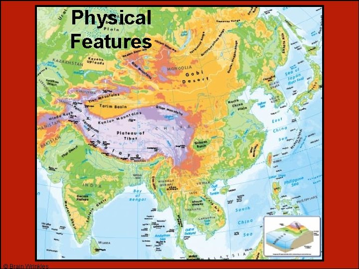 Physical Features © Brain Wrinkles Physical Features © Brain Wrinkles