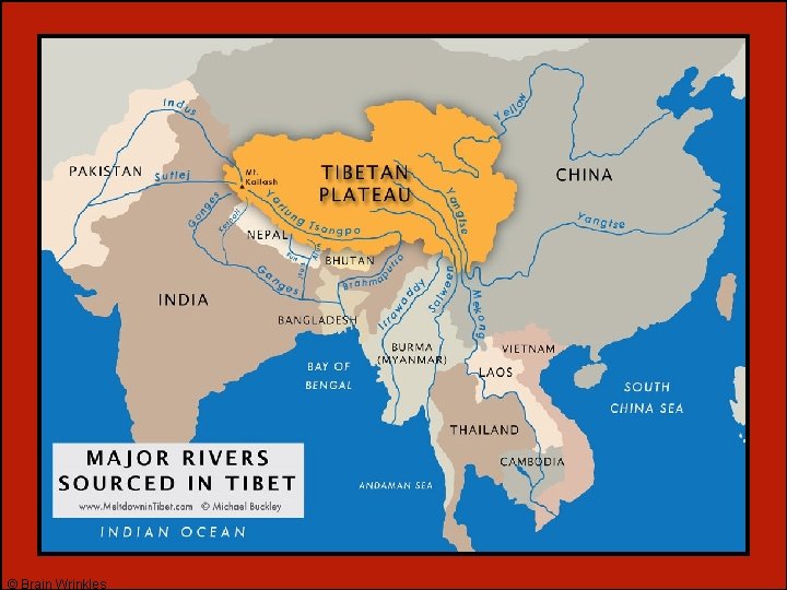 © Brain Wrinkles © Brain Wrinkles