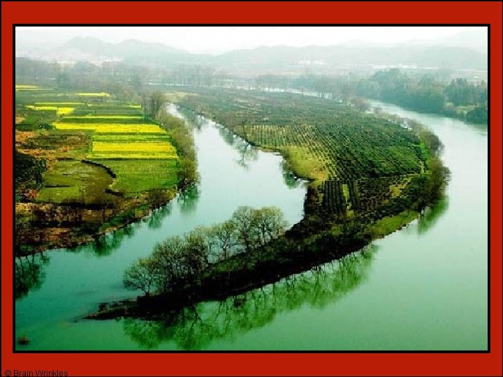 © Brain Wrinkles © Brain Wrinkles