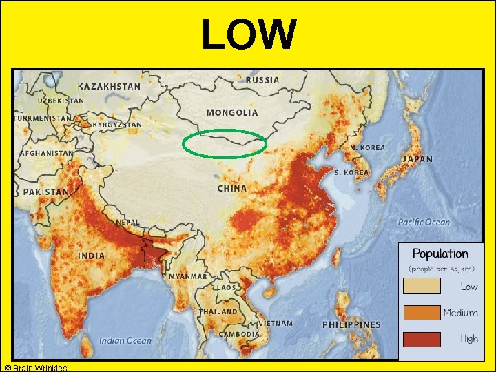 LOW © Brain Wrinkles 