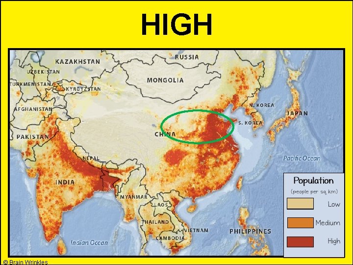 HIGH © Brain Wrinkles 