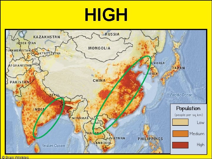 HIGH © Brain Wrinkles 