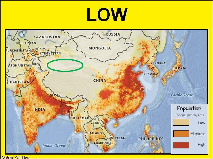 LOW © Brain Wrinkles 