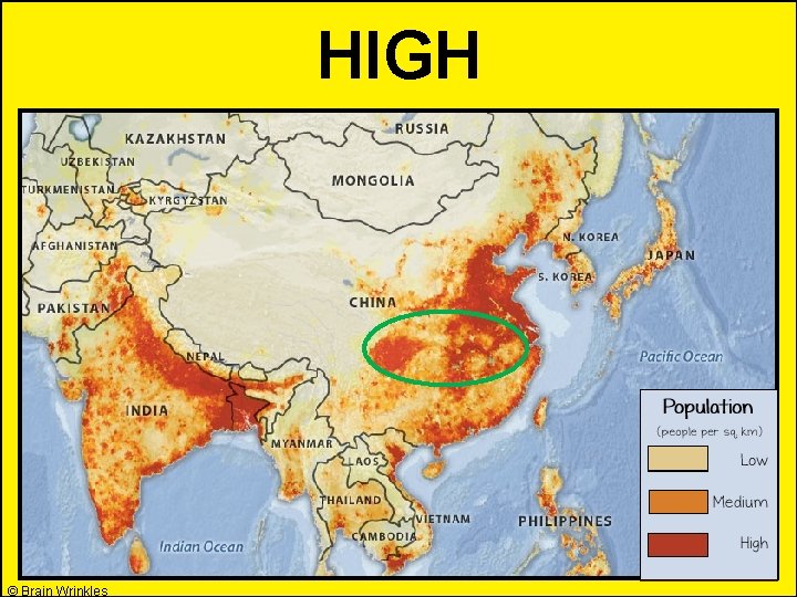 HIGH © Brain Wrinkles 