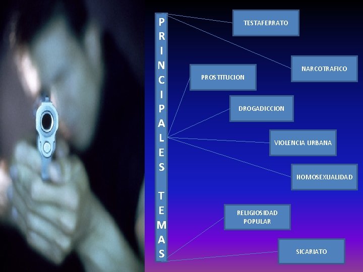 P R I N C I P A L E S T E M P R I N C I P A L E S T E M