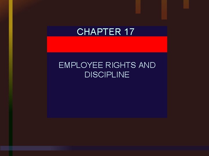 CHAPTER 17 EMPLOYEE RIGHTS AND DISCIPLINE 