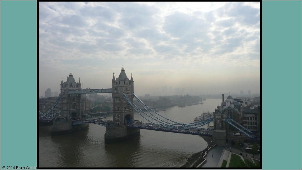 © 2014 Brain Wrinkles 