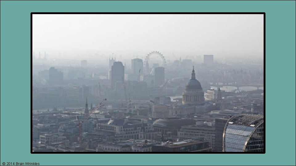 © 2014 Brain Wrinkles 