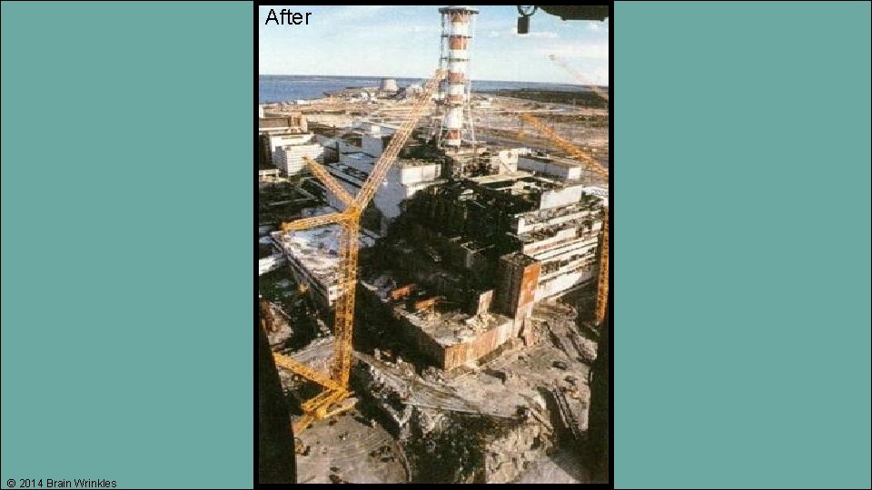 After © 2014 Brain Wrinkles 