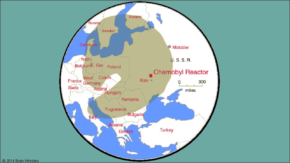 © 2014 Brain Wrinkles 