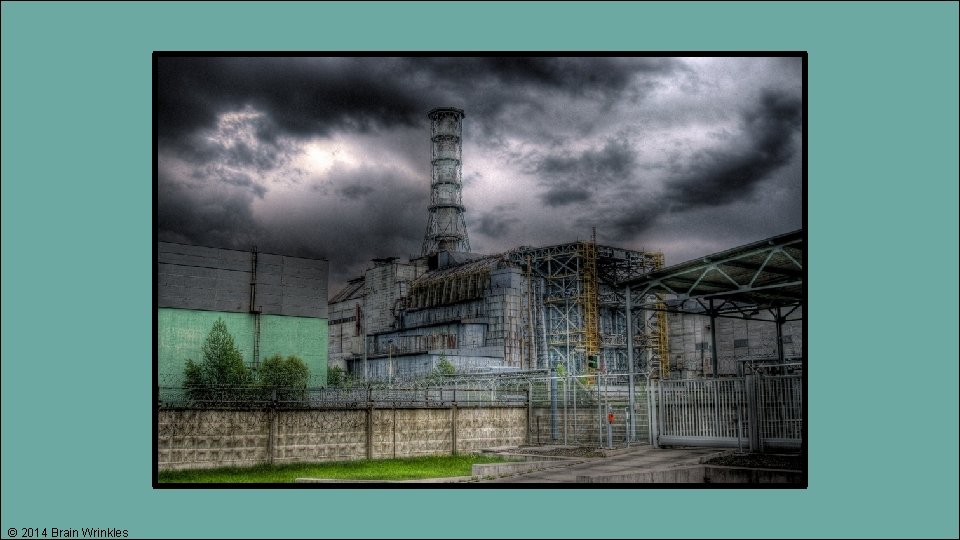 © 2014 Brain Wrinkles 