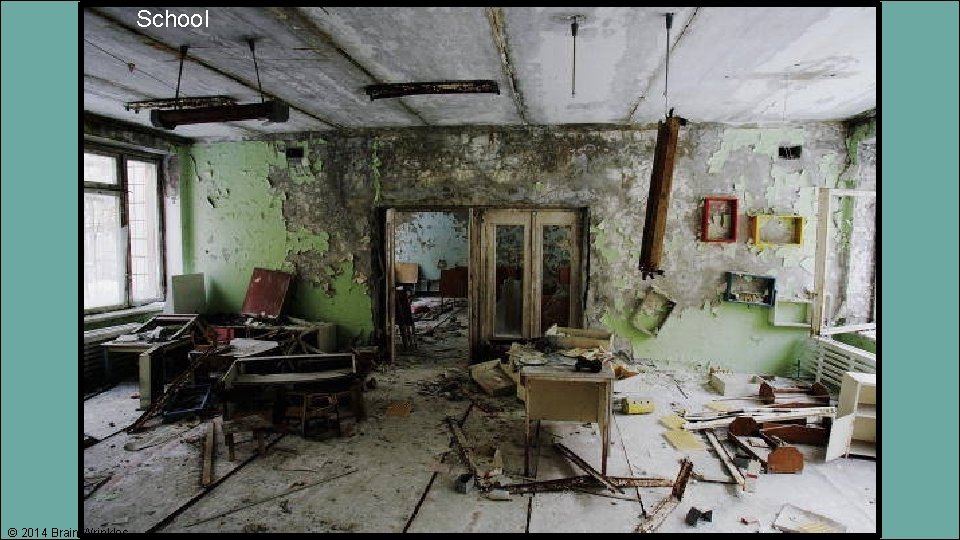 School © 2014 Brain Wrinkles 