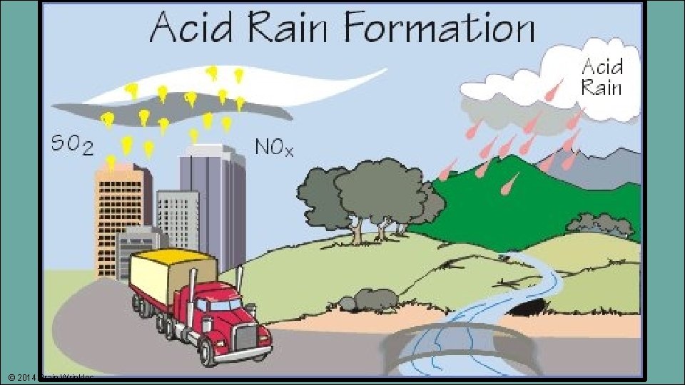 © 2014 Brain Wrinkles 