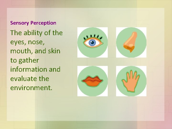 Sensory Perception The ability of the eyes, nose, mouth, and skin to gather information