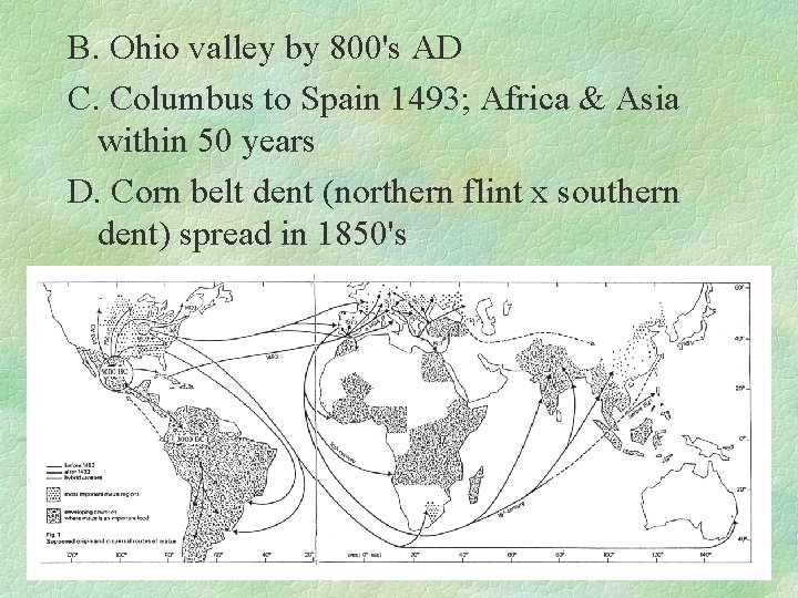 B. Ohio valley by 800's AD C. Columbus to Spain 1493; Africa & Asia