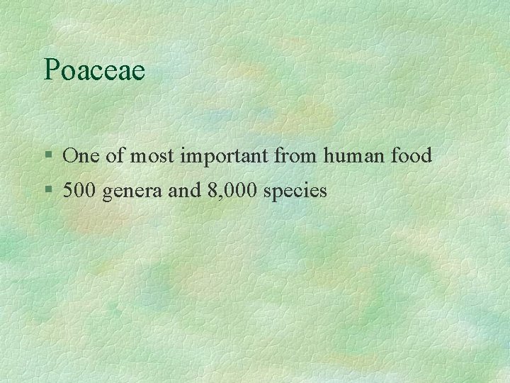 Poaceae § One of most important from human food § 500 genera and 8,