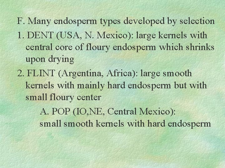 F. Many endosperm types developed by selection 1. DENT (USA, N. Mexico): large kernels