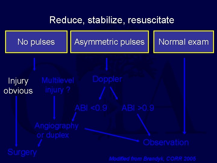 Reduce, stabilize, resuscitate No pulses Asymmetric pulses Doppler Multilevel injury ? Injury obvious ABI