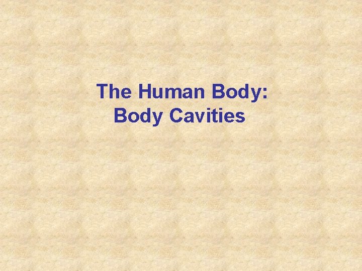 The Human Body: Body Cavities 
