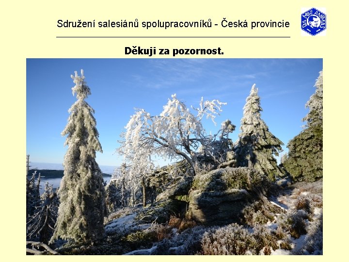 Sdružení salesiánů spolupracovníků - Česká provincie _______________________________ Děkuji za pozornost. 