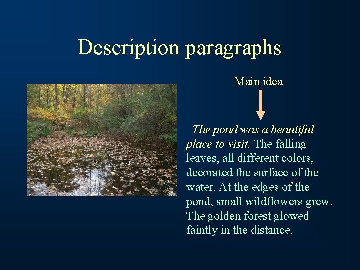 Description paragraphs Main idea The pond was a beautiful place to visit. The falling