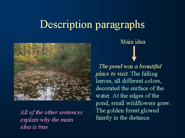 Description paragraphs Main idea All of the other sentences explain why the main idea