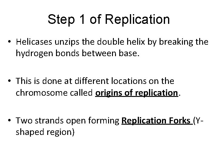 Step 1 of Replication • Helicases unzips the double helix by breaking the hydrogen Step 1 of Replication • Helicases unzips the double helix by breaking the hydrogen